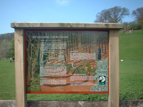Nettlecombe Court Display Boards | Image 2 Nettlecombe Court Display Boards | Image 2