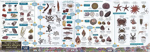 FSC Rocky Shore Guide - 2006 FSC Rocky Shore Guide - 2006